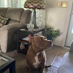 Cheryl Bricker Younce - @southernrose0045 - Instagram