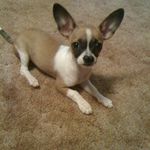 Cheryl Bridge - @ckbridge - Instagram