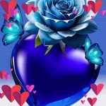 Cheryl Briggs - @cheryl.briggs.7587 - Instagram