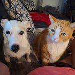 Cheryl Briggs - @magicaljourneycheryl - Instagram