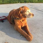 Cheryl Bright - @bright1179 - Instagram