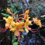 Cheryl Brim - @brimc0359 - Instagram