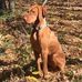 Cheryl Brimmer - Facebook