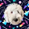 Cheryl Broad - @cheryl.broad25 - TikTok