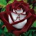 Cheryl Pugh Broadhead - Facebook