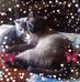 Cheryl Bruce - Facebook