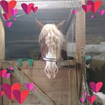 Cheryl Bruce - @cherylbruce7510 - Instagram