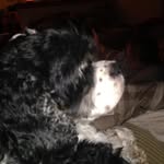 Cheryl Bruce - @cheryl.bruce.75 - Instagram
