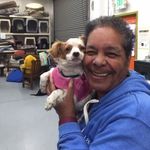 Cheryl Bryan - @cheryl_bryan - Instagram