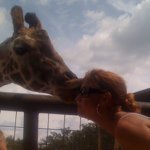 Cheryl Buckner - @cherylbuckner - Instagram