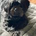 Cheryl Buckner - Facebook