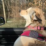 Cheryl Burdick - @burdickch1 - Instagram