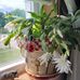 Cheryl Burdick - Facebook