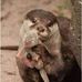 Cheryl Burdick - Facebook