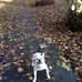 Cheryl Burrows - Facebook