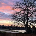 Cheryl Burrows - @trikelady - Instagram