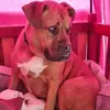 Cheryl Bayfield - @cheryl.bayfield - TikTok