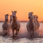 Cheryl Cameron - @starskyhutch0528 - Instagram