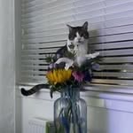 Cheryl Cameron - @cherylmcameron - Instagram