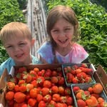 Cheryl Carson - @cherylcarson6750 - Instagram