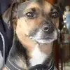 Cheryl Carson - @cheryl.carson11 - TikTok