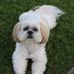 Cheryl Holmlund Carson - Facebook