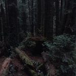Cheryl Case - @cherylcase5 - Instagram