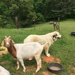 Cheryl Caskey Barr - @chertals - Instagram