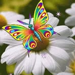 Cheryl Cathey - Facebook