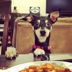 Cheryl Menuey-Cerda - Facebook
