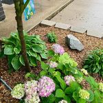 Cheryl Chamberlain - @cheryl.chamberlain.14 - Instagram