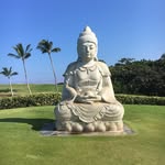 Cheryl Brady Chandler - @cherylchandler1390 - Instagram