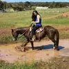 Cheryl chandler - @cherylchandler02 - TikTok