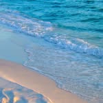 Cheryl Chickadel - @cherylchickadel - Instagram