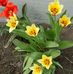 Cheryl Clancy - Facebook