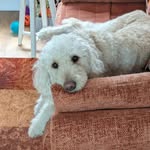 Cheryl Connor - @cherylconnor61 - Instagram