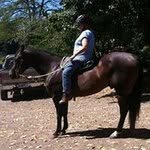 Cheryl Conrad - @cdconrad - Instagram
