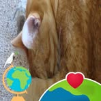 Cheryl Coolbaugh - Facebook