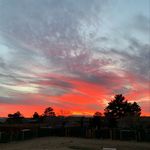 Cheryl Cope - @love_always_tia1 - Instagram