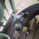 Cheryl B. Corona - @johnnyshaffer_sanchez - Instagram