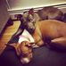 Cherrel Coker - Facebook