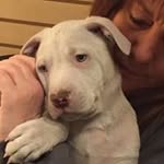 Cheryl Cosner - @cheryl.cosner - Instagram