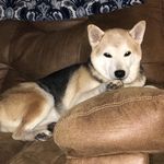 Cheryl Cottrell - @cheryl_cottrell_73u3 - Instagram