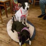 Cheryl Cottrell - @cheryl.cottrell.62 - Instagram