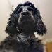 Cheryl Coughlin - Facebook