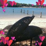 Cheryl Coughlin - @coughlincheryl - Instagram