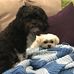 Cheryl Coughlin - Facebook