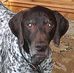 Cheryl Coughlin - Facebook