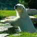 Cheryl Coulson - Facebook