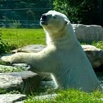 Cheryl Coulson - @canusa35 - Instagram